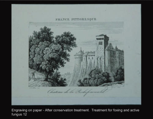 Same Engraving on paper - After conservation Same Engraving on paper - After conservation